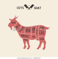 Meat Cuts Goat Diagrams Butcher Shop Stock Vector Royalty