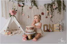 Smash Cake Photography Cake Smash Ideas Baby Girl Birthday Cake  gambar png