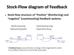 1 29 13 Feedback Stock Flow