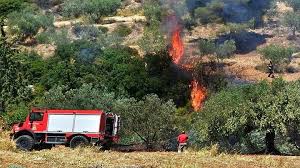 Κατασβέστη η φωτιά που εκδηλώθηκε στις 4 περίπου το μεσημέρι στην περιστέρα της δυτικής αχαΐας, έχοντας κάψει 10 στρέμματα γεωργικής . Axaia Fwtia 3espase Sthn Perioxh Riolos Nea Selida