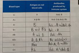 solved blood type antigen on red blood