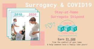 How to find a surrogate in florida. Average Surrogate Compensation Surrogate Pay Breakdown