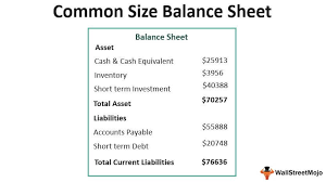 Common Size Balance Sheet Ysis