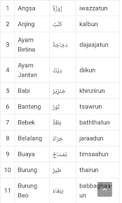 Contoh nama haiwan dalam bahasa arab. Øº Ø± Nama Binatang Dalam Bahasa Arab Brainly Co Id