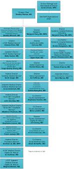 Organizational Chart Faculty Ucsf Hospital Medicine
