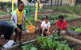 Diy Backyard Gardening Ideas For Kids
