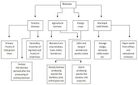 Classification Of Biomass Download Scientific Diagram