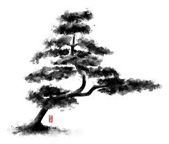 Chinese White Pine Ink Drawing By Ilyo