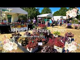 rhs hyde hall flower show 2022