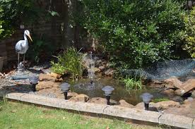 Basic Pond Package Small Fish Ponds