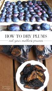 What To Do With Plums Caliescali Co