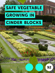 Safe Vegetable Growing In Cinder Blocks