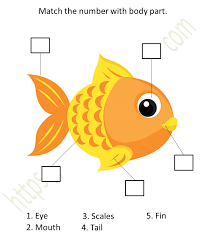 Body part actions worksheet author: Environmental Science Preschool Matching Body Parts Worksheet 4