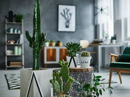 Decorando la sala con plantas le dan vida y la iluminan. 10 Plantas Perfectas Para Decorar La Sala De Tu Casa