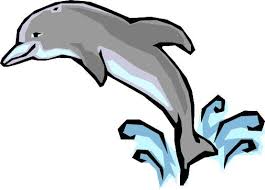 Image result for dolphins clipart