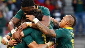 springboks back at world rugby rankings