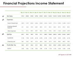 Projected Financial Statements Ppt