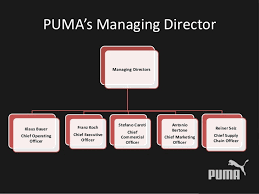 Puma Analysis