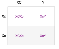 linked recessive trait the gene