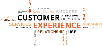 Customer Experience Strategy Best Practices Whatfix Academy