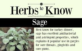 herbs to know sage preparednessmama
