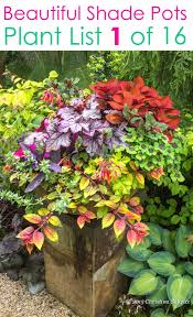 16 Colorful Shade Garden Pots Plant