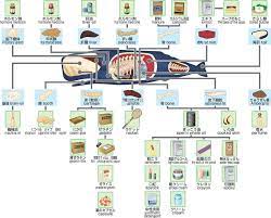 consumer health risk from whale s