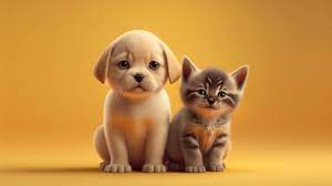 cute puppy and kitten sit together on a