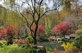 an autumn visit to gibbs gardens