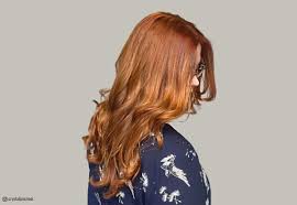 60 trendy copper hair color ideas