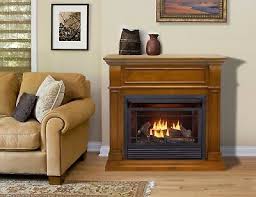 Dual Fuel Fireplace