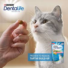 Brushing your cat's teeth probably sounds as appealing as giving your cat a bath. How To Look After Your Cat S Teeth Purina