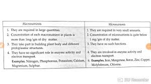 differences between macronutrients and