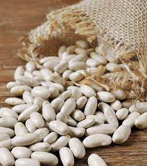7 benefits of navy beans how to cook them