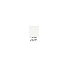 Pantone 11 0601 Tcx Swatch Card Bright White