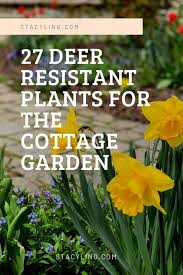 33 Deer Resistant Flowers For The