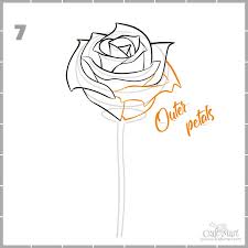 how to draw a rose step by step guide
