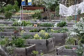 community gardening resources