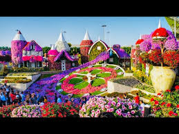 miracle garden dubai 2022 the world