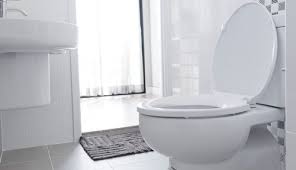 These are the shortest toilets front to back with the smallest toilet depth. Comfort Height Vs Standard Toilet Pros Cons Comparisons And Costs