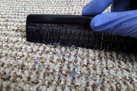 remove sticky residue from a carpet