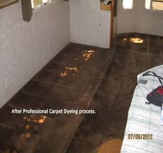 rv carpet and upholstery dyeing a low