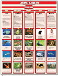 Animal Kingdom Chart W Cards Vertebrates