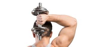 tricep workout with dumbbells simple