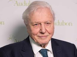 The naturalist david attenborough in the documentary a life on our planet.credit.netflix. David Attenborough S Best Moments Saga