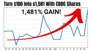 Penny Stock Fever Is Back In A Big Way Daily Profit Machine
