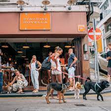 dog friendly restaurants cafes bars