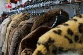 Cleaning Odors On Faux Fur Thriftyfun