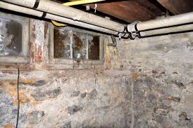 Is Mold Common In The Basement Air