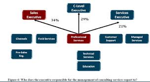 Organizational Structure Service Visions